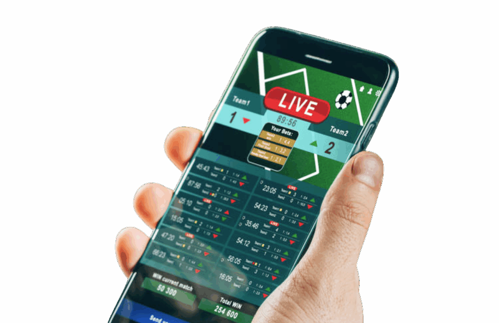 phone in hand